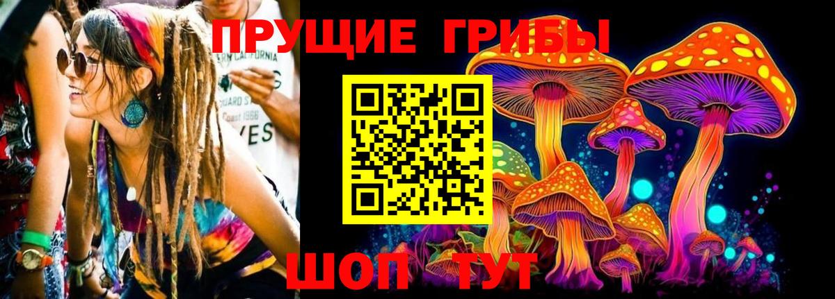 Галлюциногенные грибы Psilocybine cubensis Гусиноозёрск