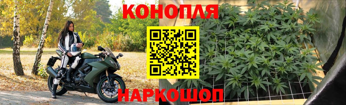 Конопля конопля Гусиноозёрск